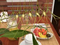 Mindo Real - Desayuno