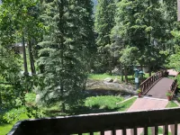 Vail Racquet Club Mountain Resort - Mountain view