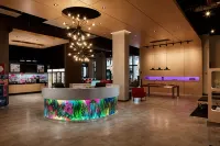 Aloft Coral Gables - Parkplatz