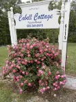 The Cozy Cabell Cottage