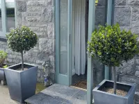 The Natterjack Inn - Parking