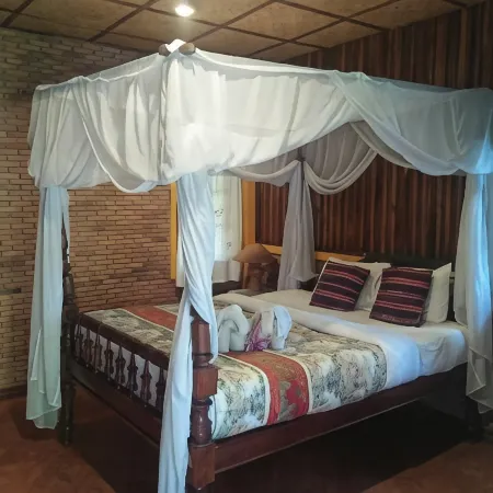 Orchid Hibiscus Guest House