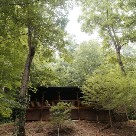 "Alpine Hills" Cozy Hideaway RRG Cabin w/ Hot Tub