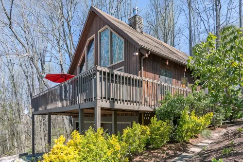 Suzie's Luxury Cabin Asheville Hot Tub  Views  nr Biltmore - Chalets