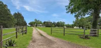 Luxury Round Top Farmhouse  / 6mil to The Square - 4성급