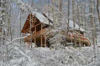 Find Peace, Tranquility and nature—secluded Cabin on 42 Acres with Fishing Pond - WiFi