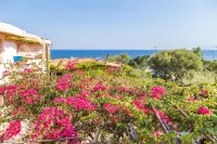Costa Dorada - Ocean View