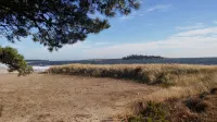 Driftwood Studio Beachfront cottage right in the Dunes - WiFi