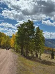 Mountain Cabin Retreat Newly Renovated - Chalets