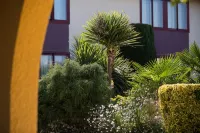 Logis Hôtel Restaurant Solenca - Scenic