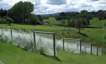 Runciman Berries and Emus B&B