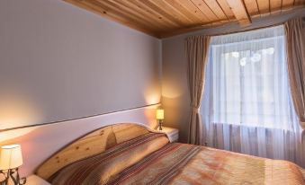 Alpijskie Doma Hotel