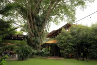 Caracoral Hotel Boutique Hotels in 