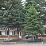Vodolej Hotel
