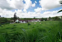 The White Horse Inn Отели в г. Кальн