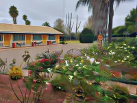 The Aston Motel Tamworth