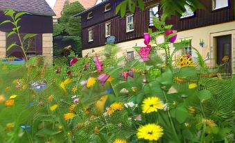 Ferienwohnung, Struppen