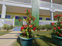 Sky Lodge Hotels in Nuku'alofa