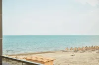 إكسيلسيور أبارتامنتس 2