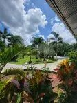 La Palmera Real - Pondok