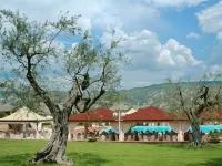 Hotel Degli Ulivi Hotels in Ferrandina