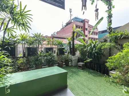 Rain Forest Hotel