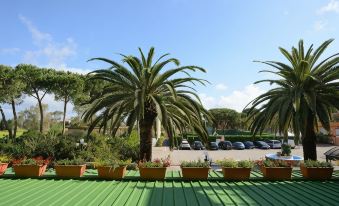 Hotel Oasis