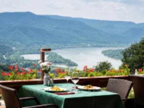 西爾瓦努斯健康會議酒店 維謝格拉德酒店