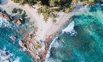 Shasee Rest-Mirissa