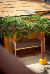 Yellow Fellow Hostel Hotel di 