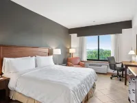 Holiday Inn PANAMA CANAL by IHG Hotels in Ancón