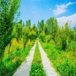 Silversky Guesthouse - Shillong