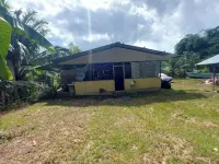 Casa Familiar Grande Mono Congo de osa