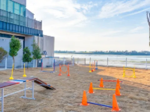 Muan Oberman Pet-Friendly Villa 務安のホテル