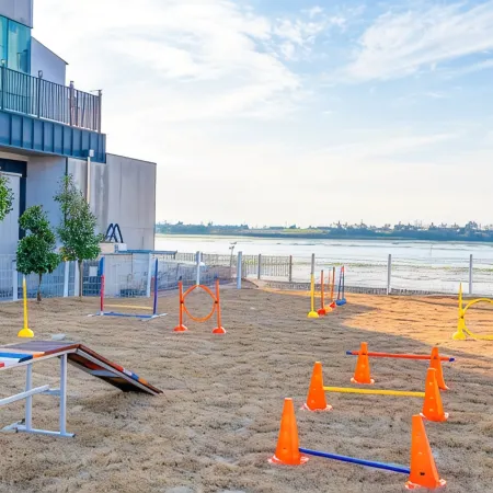 Muan Oberman Pet-Friendly Villa