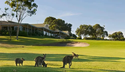 Tocumwal Early Settlers Motel