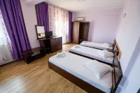 펜시우네아 도므네아스카