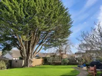 The White Cottage Hotels in Colyton