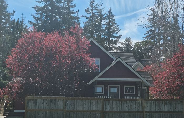 Vintage Island Home 2 Blocks From Town. 4 Bdrs, 2 Kitchens, 3 Bath. Can Sleep 14