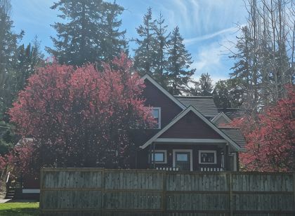 Vintage Island Home 2 Blocks From Town. 4 Bdrs, 2 Kitchens, 3 Bath. Can Sleep 14