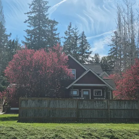 Vintage Island Home 2 Blocks From Town. 4 Bdrs, 2 Kitchens, 3 Bath. Can Sleep 14