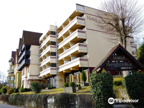 Hotel Bergfrieden