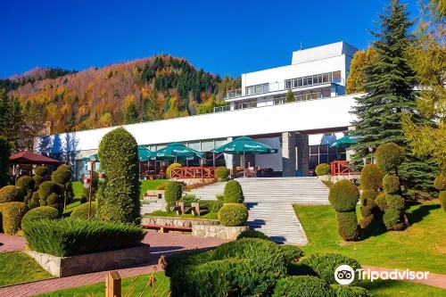 Hotel Perła Południa - Pet friendly