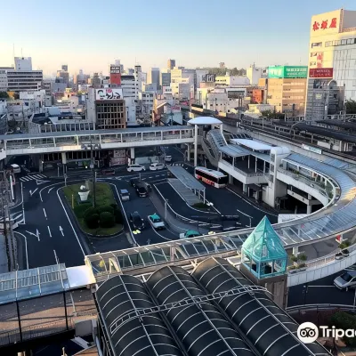 名鉄トヨタホテル 白浜公園周辺のホテル