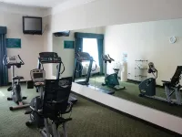 戴明拉昆塔溫德姆套房飯店 - 健身房