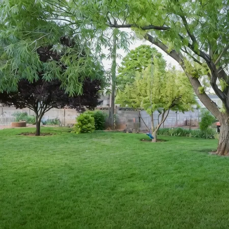 Backyard Oasis - Downtown - Retro Chic - King Bed