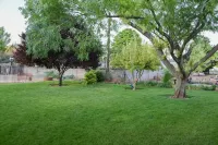 Backyard Oasis - Downtown - Retro Chic - King Bed - Bungalows