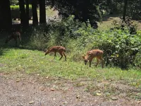 4-bedroom cabin in peaceful Lakeside Oregon - Wifi