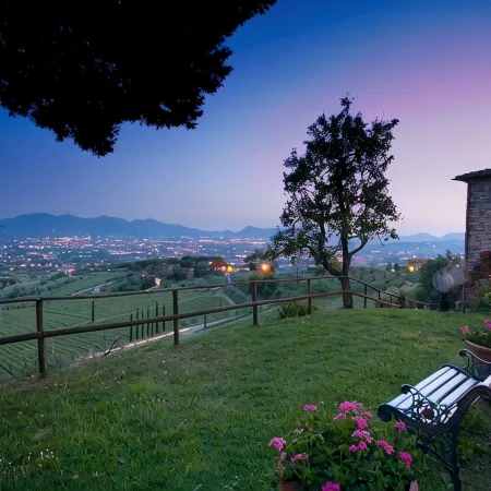 XII century farmhouse on the hills above Lucca with chef. Only local food.