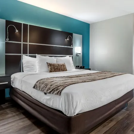 Best Western Plus Carlton Suites